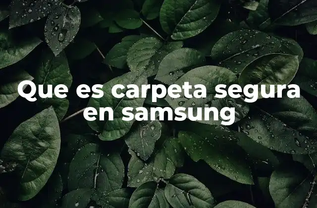 Que es Carpeta Segura en Samsung