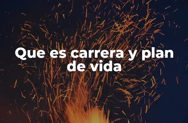 Que es Carrera y Plan de Vida