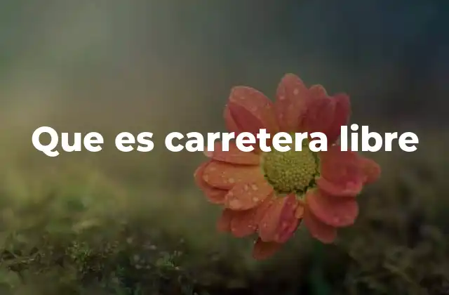 Que es Carretera Libre
