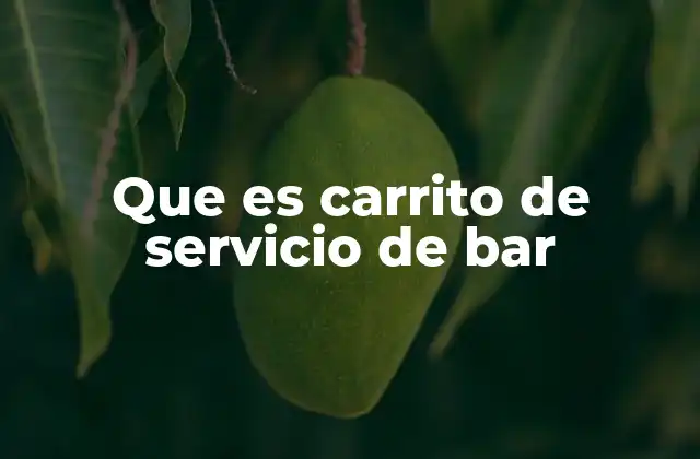 Que es Carrito de Servicio de Bar