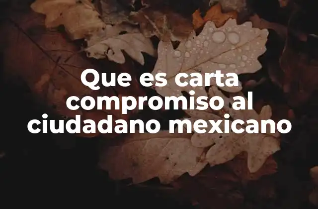 Que es Carta Compromiso Al Ciudadano Mexicano