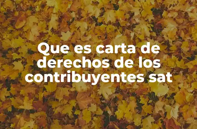 Que es Carta de Derechos de los Contribuyentes Sat