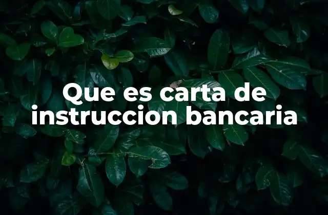 Que es Carta de Instruccion Bancaria