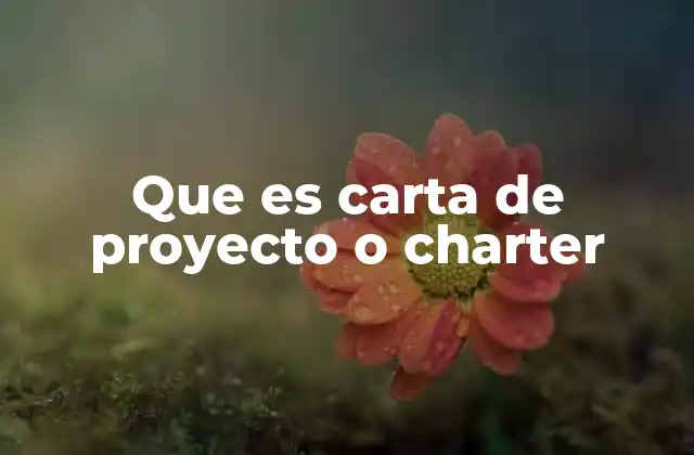 Que es Carta de Proyecto o Charter