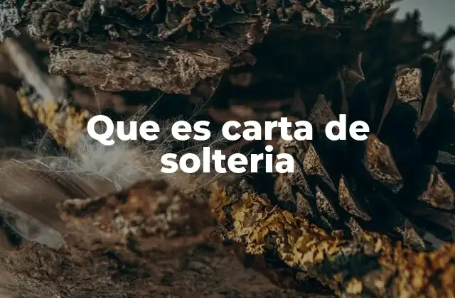 Que es Carta de Solteria