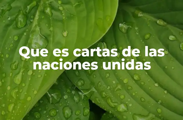 Que es Cartas de las Naciones Unidas