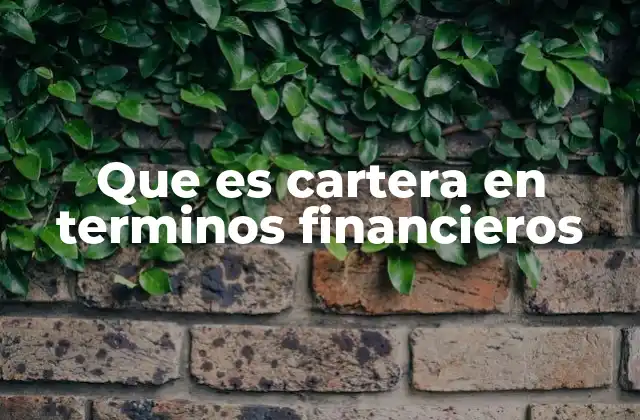 Que es Cartera en Terminos Financieros