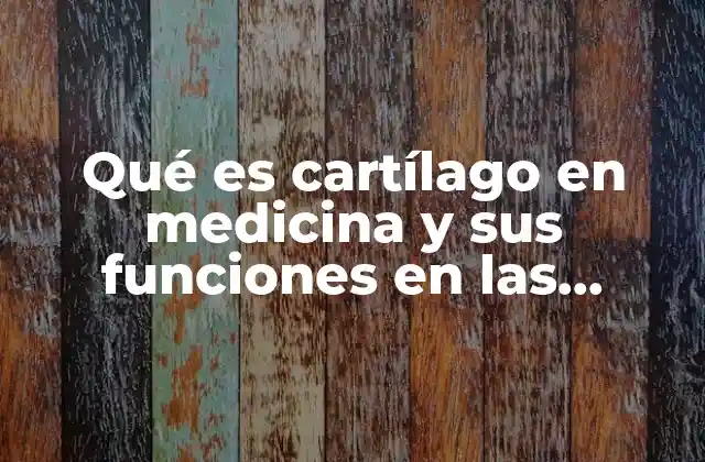 Qué es Cartílago en Medicina y Sus Funciones en las Heridas