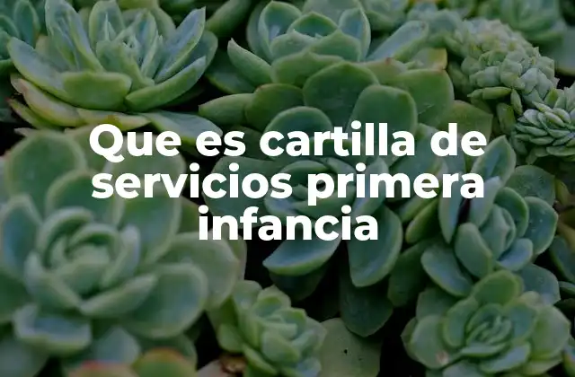 Que es Cartilla de Servicios Primera Infancia