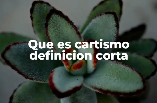 Que es Cartismo Definicion Corta