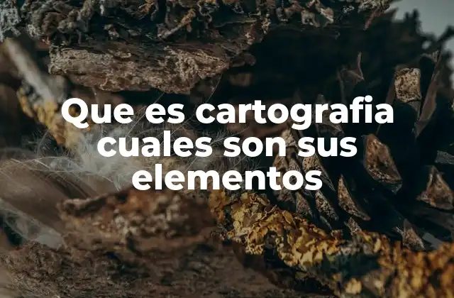 Que es Cartografia Cuales Son Sus Elementos