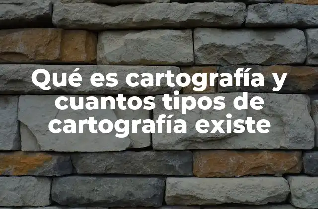 Qué es Cartografía y Cuantos Tipos de Cartografía Existe