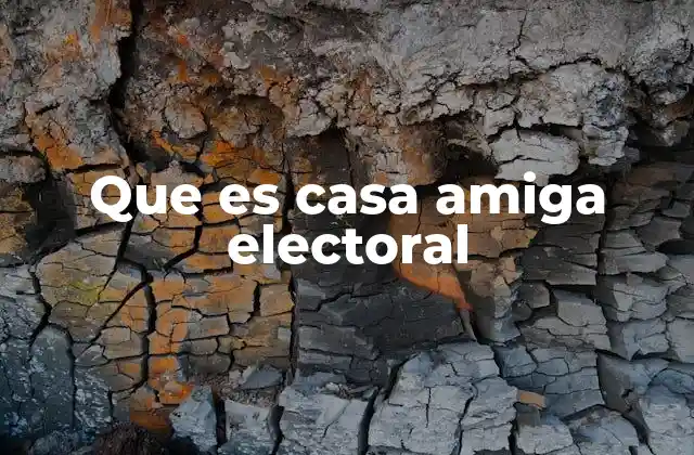Que es Casa Amiga Electoral