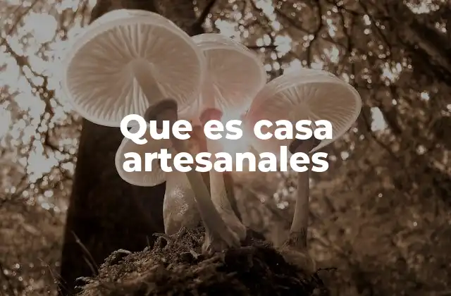 Que es Casa Artesanales