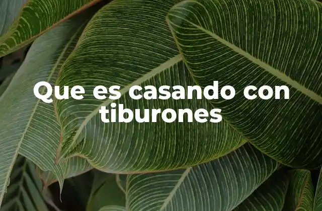 Que es Casando con Tiburones 2 El uso de la frase en contextos reales