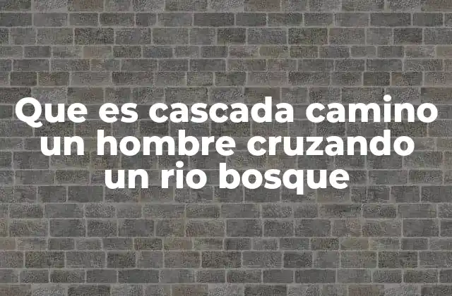Que es Cascada Camino un Hombre Cruzando un Rio Bosque