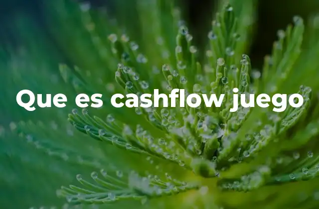 Que es Cashflow Juego