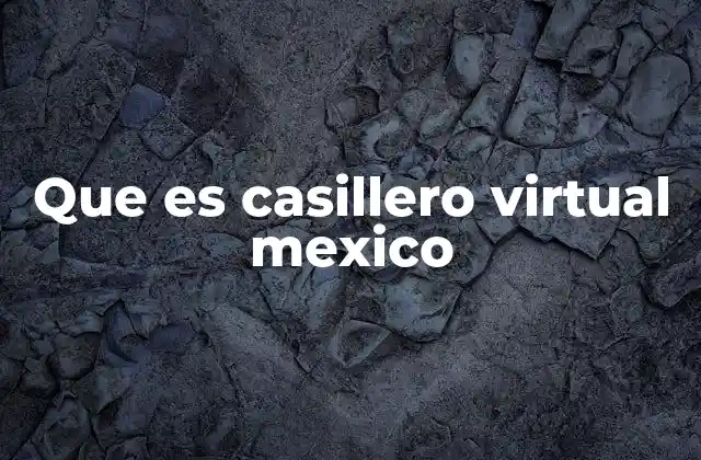 Que es Casillero Virtual Mexico