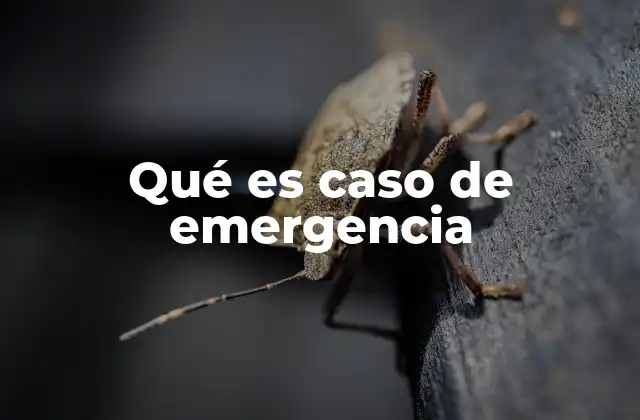 Qué es Caso de Emergencia