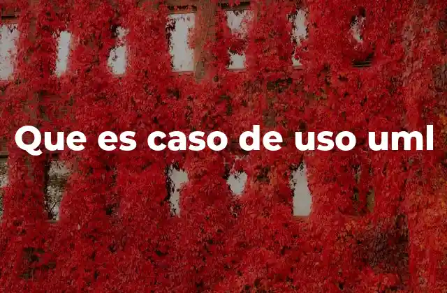 Que es Caso de Uso Uml