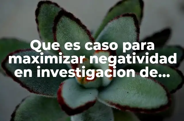 Que es Caso para Maximizar Negatividad en Investigacion de Operaciones
