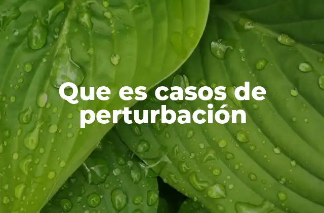 Que es Casos de Perturbación