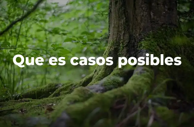 Que es Casos Posibles