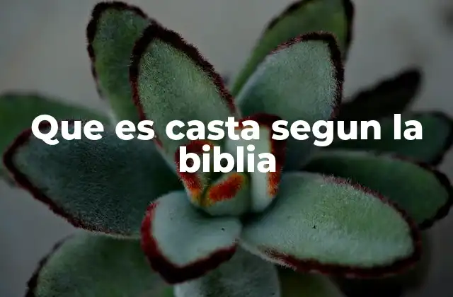 Que es Casta Segun la Biblia