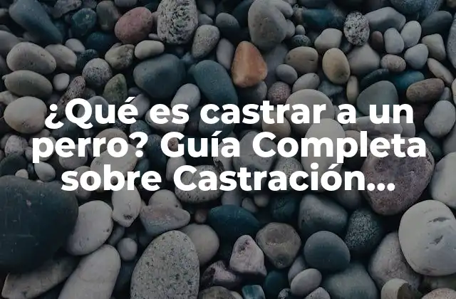¿qué es Castrar a un Perro? Guía Completa sobre Castración Canina