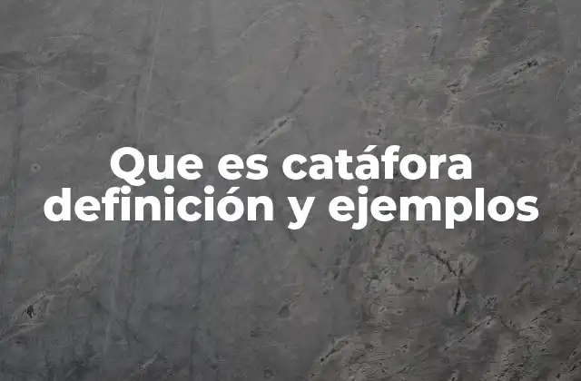 Que es Catáfora Definición y Ejemplos