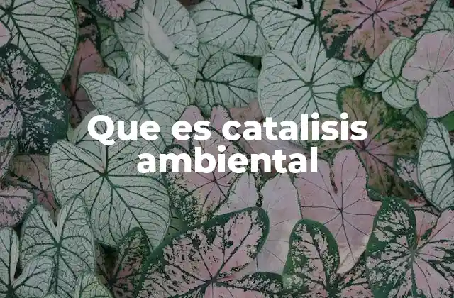 Que es Catalisis Ambiental 2 La química detrás de la protección del medio ambiente