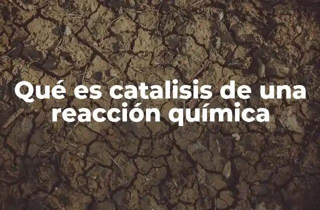 Qué es Catalisis de una Reacción Química
