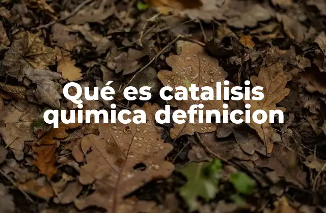 Qué es Catalisis Quimica Definicion