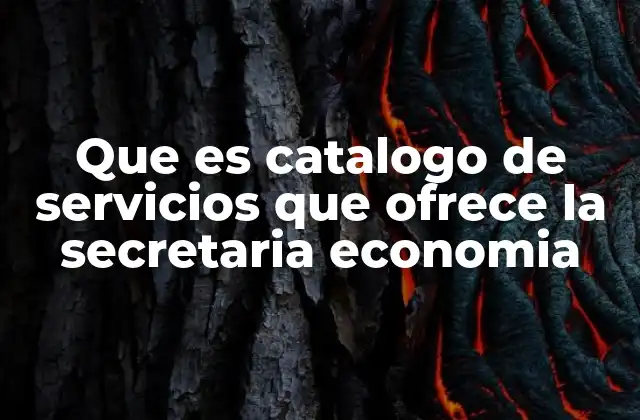Que es Catalogo de Servicios que Ofrece la Secretaria Economia