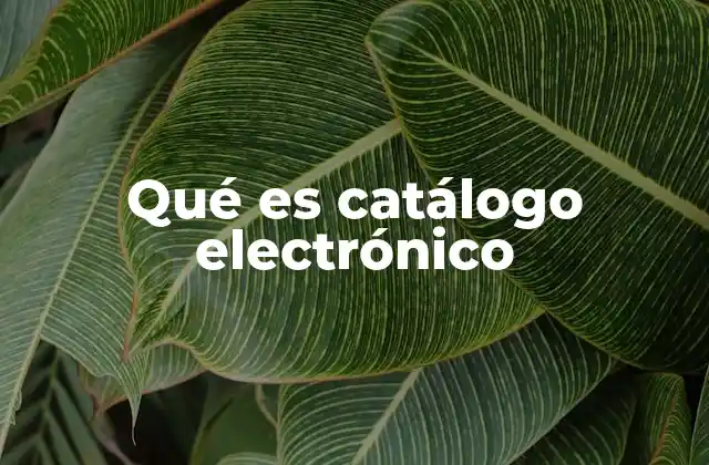 Qué es Catálogo Electrónico