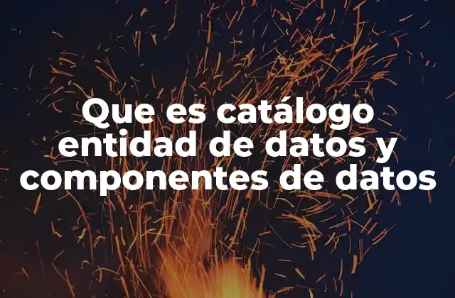 Que es Catálogo Entidad de Datos y Componentes de Datos