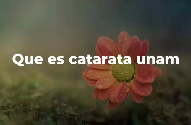 Que es Catarata Unam