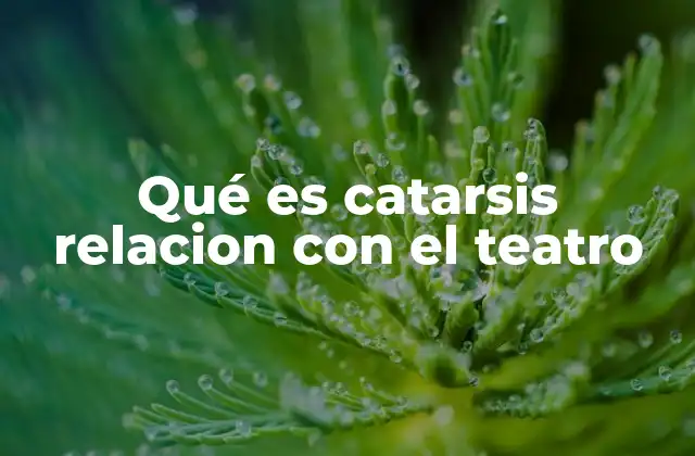 Qué es Catarsis Relacion con el Teatro