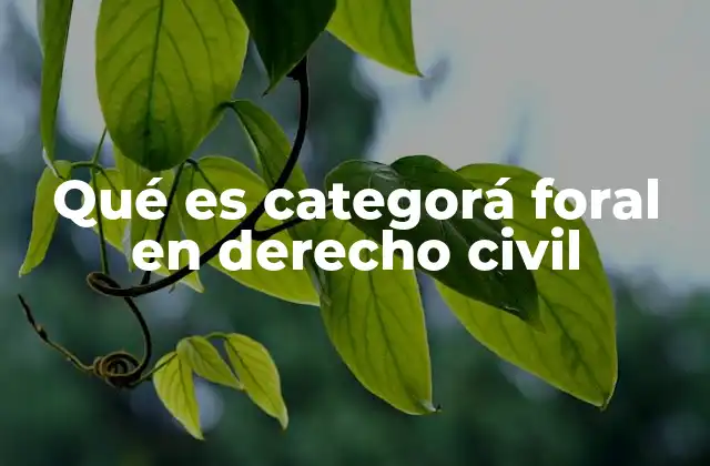 Qué es Categorá Foral en Derecho Civil
