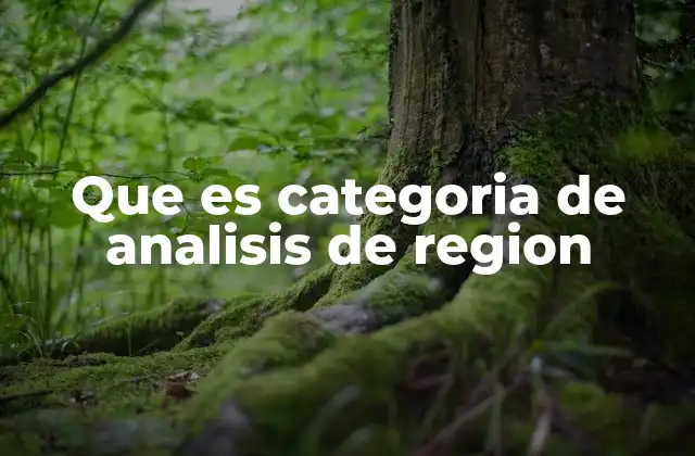 Que es Categoria de Analisis de Region
