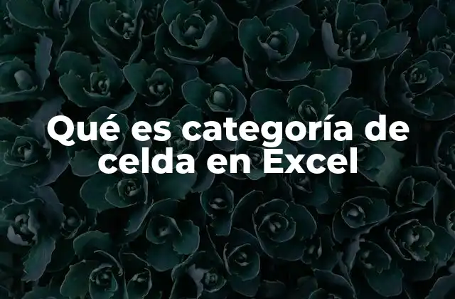 Qué es Categoría de Celda en Excel