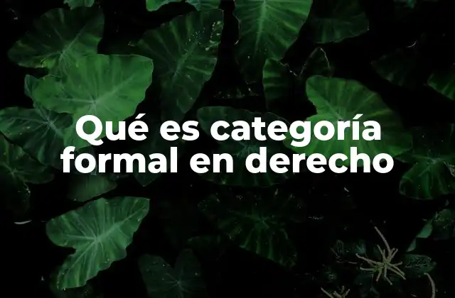 Qué es Categoría Formal en Derecho