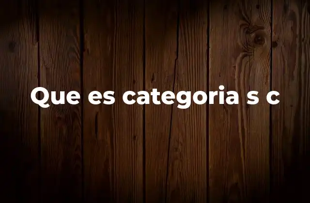 Que es Categoria S C