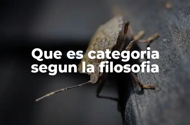Que es Categoria Segun la Filosofia