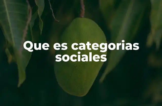 Que es Categorias Sociales