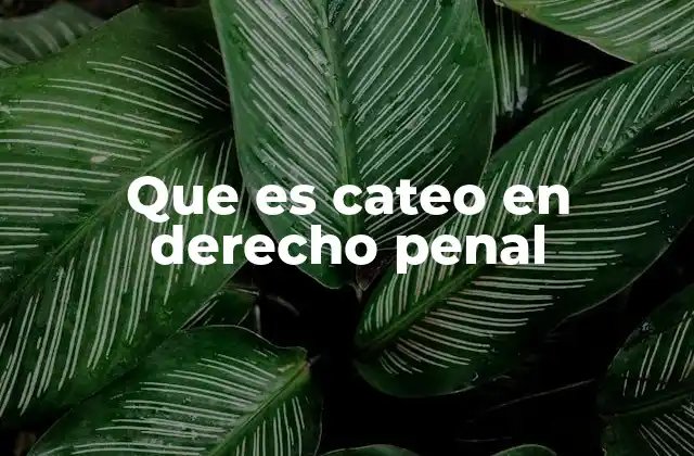 Que es Cateo en Derecho Penal
