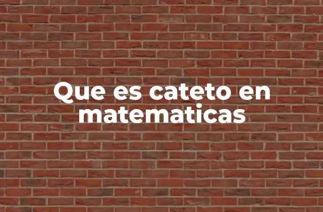 Que es Cateto en Matematicas