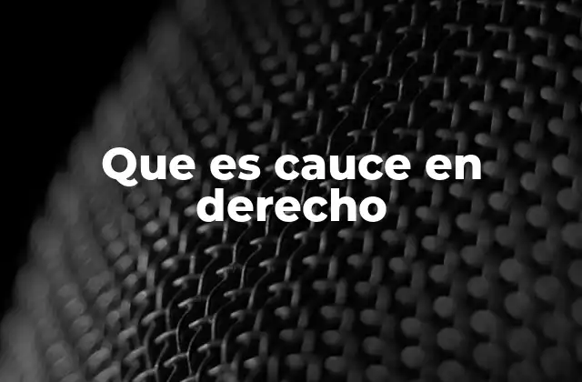 Que es Cauce en Derecho 2 El cauce como mecanismo para la justicia efectiva