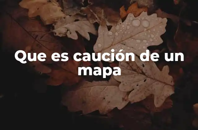 La importancia de considerar la caución en la lectura cartográfica