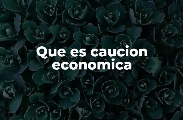 Que es Caucion Economica